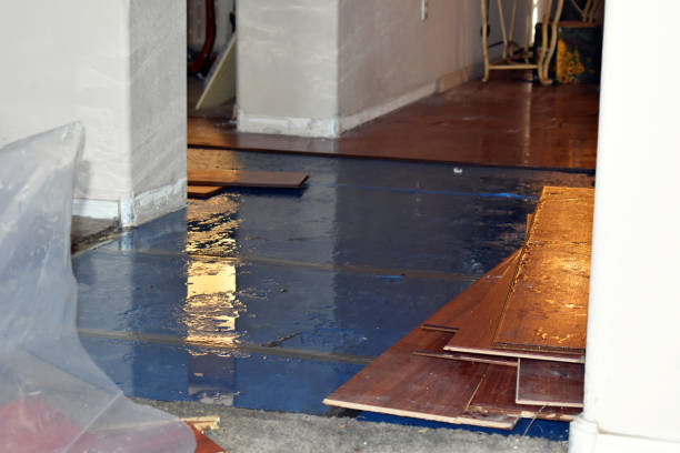 Professional Basement Flood Cleanup technician working in Columbiana, AL